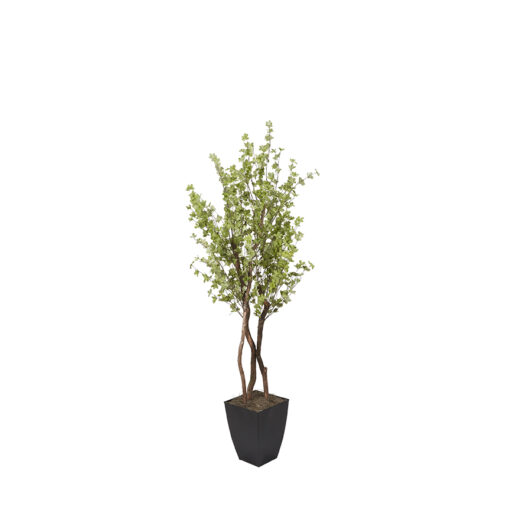 Star Leaf Tree in Cardinal Planter 7' - 320104