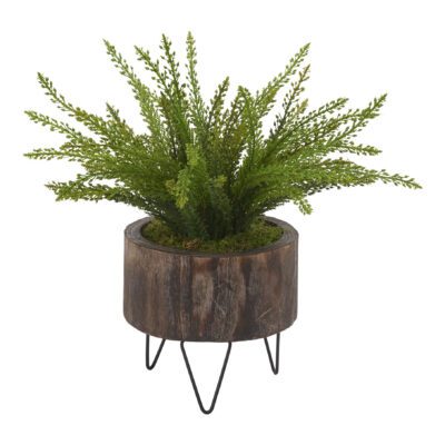 Heather Fern in Medium Clayton Planter - 204003