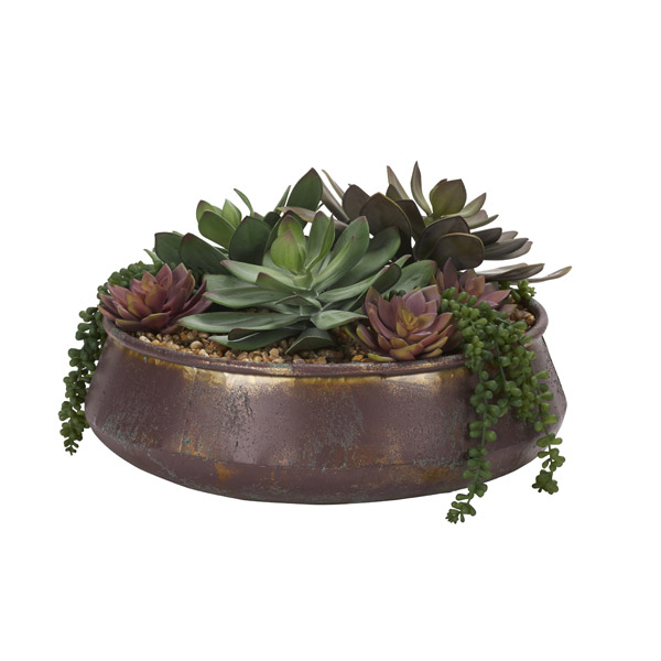 Assorted Echeveria and Sedum in Medium Virtu Planter - 204005