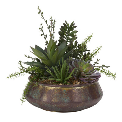 Assorted Succulents, Aloe, and Jade Plant in Small Virtu Planter - 204009