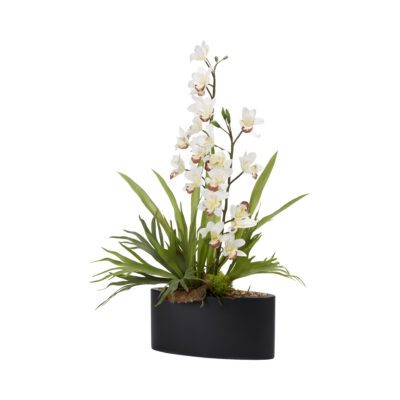 White Cymbidium Orchids & Staghorn Fern in Smith Planter - 204012