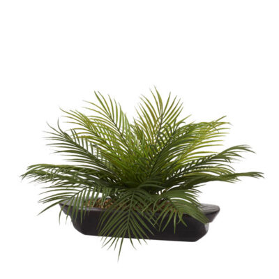 Palm Fronds in Small Dough Bowl - 204013