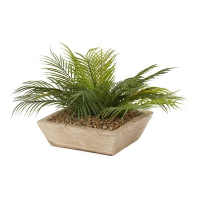 Palm Fronds in Ambrose Square Bowl - 204015