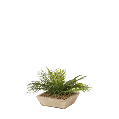 Palm Fronds in Ambrose Square Bowl - 204015