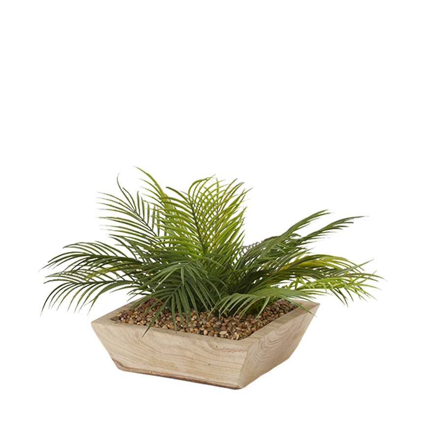 Palm Fronds in Ambrose Square Bowl - 204015 - Image 2