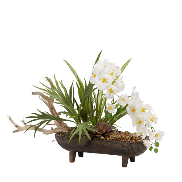 White Vanda Orchids with Stag Horn Fern and Ghostwood in Oblong Wooden Dough Bowl with Legs - 204017