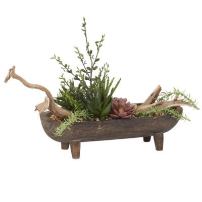 Assorted Succulents & Ghostwood Branch in Dough Bowl - 204028