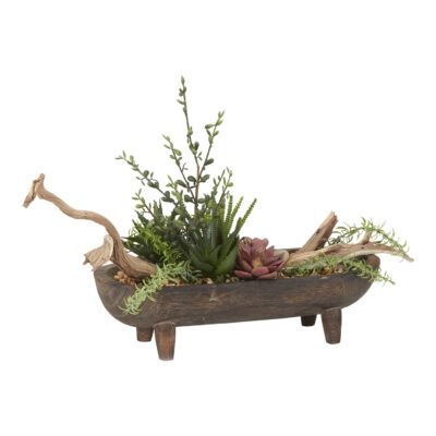 Assorted Succulents & Ghostwood Branch in Dough Bowl - 204028