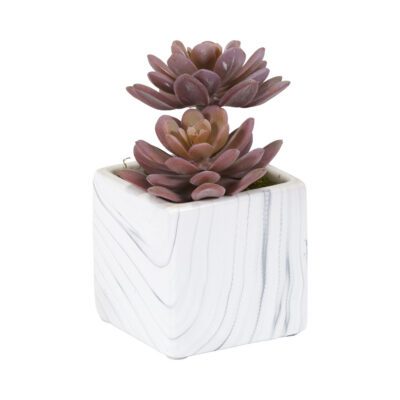 Mini Rose Echeveria in Marble Ceramic Cube - 204032