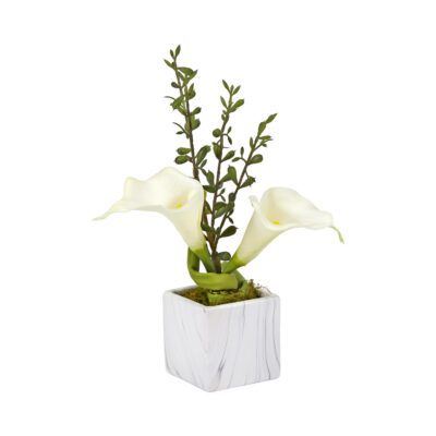 White Calla Lilies in White Marble Ceramic Cube - 204033