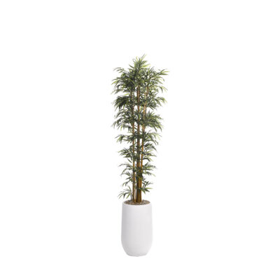 Bamboo Tree in Quinn Planter 8' - 318416