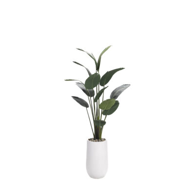 Traveler Palm 7' - 318417