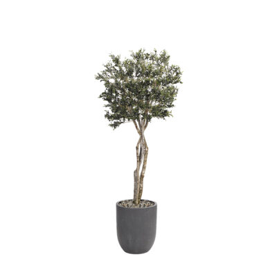 Olive Tree in Campbell Planter 8.5' - 318419