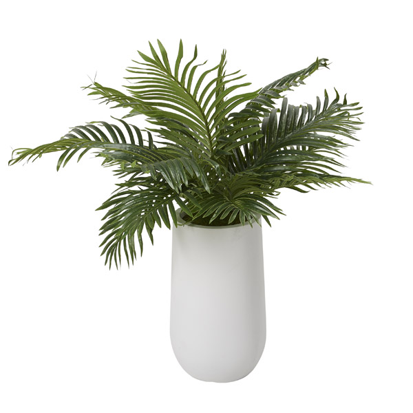 3' Hawaiian Palm Fronds in Small Quinn Planter - 320402