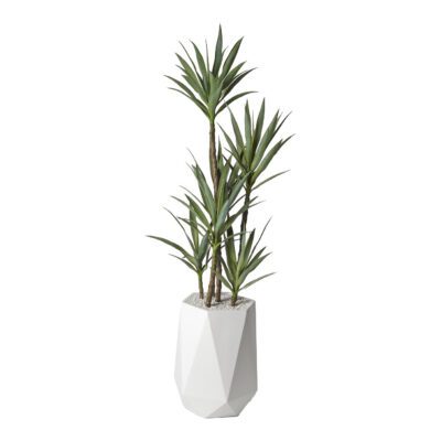 Yucca Tree in Raye Planter 6.5' - 320413
