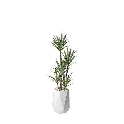 Yucca Tree in Raye Planter 6.5' - 320413