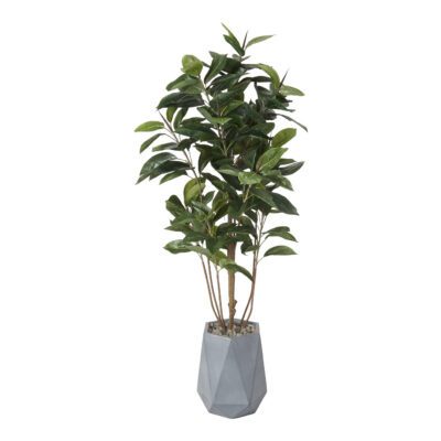 Fiddle Leaf Fig in Raye Planter 6' - 320417