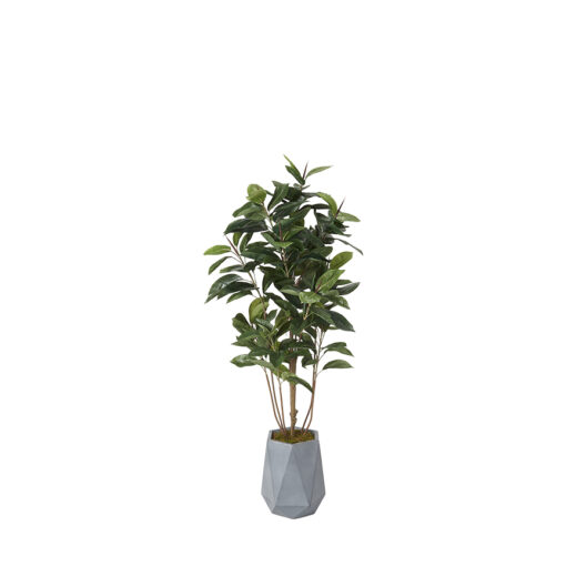 Fiddle Leaf Fig in Raye Planter 6' - 320417