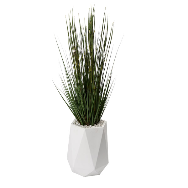 5' Onion Grass in White Small Raye Planter - 320418