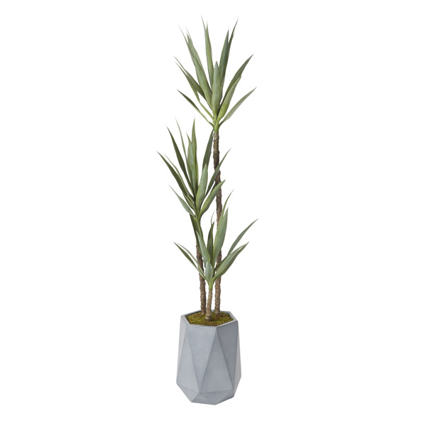 6' Yucca Plant in Grey Small Raye Planter - 320424