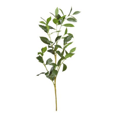 Bay Leaf Spray - GR1937