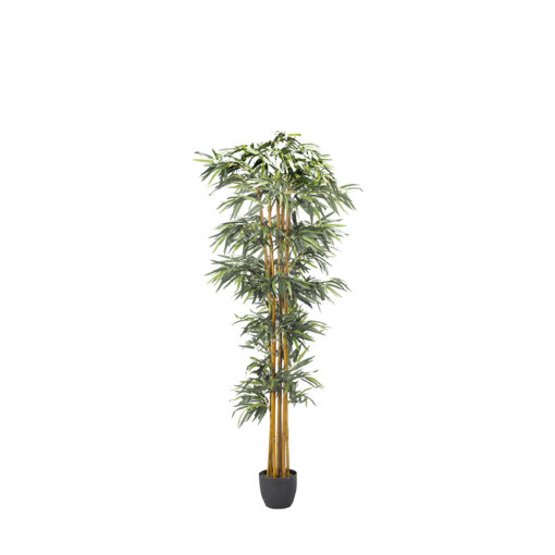 Bamboo Tree 7' - TL805