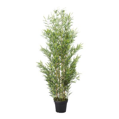 Bamboo Tree 6' - TL807