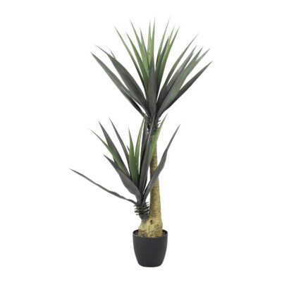 Spiky Yucca 4.5' - TL808