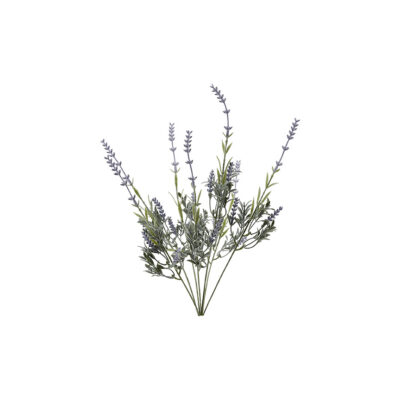 Lavender Bush - FL2247