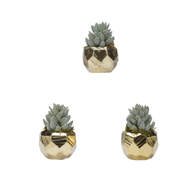 Flocked Aloe in Small Gold Flintstone Planter (Set of 3) - 189008