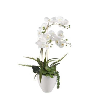 White Orchids in White Ceramic Bowl - 189048