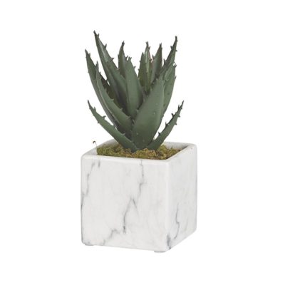 Mini Aloe Plant in White Marble Ceramic Cube - 191055
