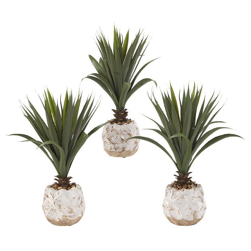 Agave Plant in Rustic Ceramic Pot - Set of 3 - 197040