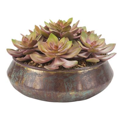 Frosted Rose Echeveria in Small Virtu Planter - 199017