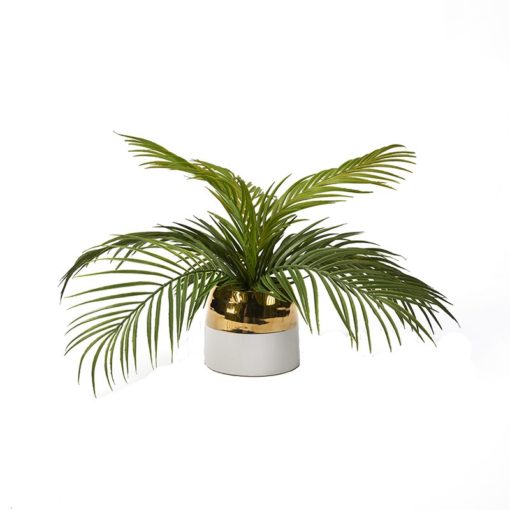 Hawaiian Palm in Braes Vase - 199033