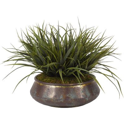 Grass in Small Virtu Planter - 209003