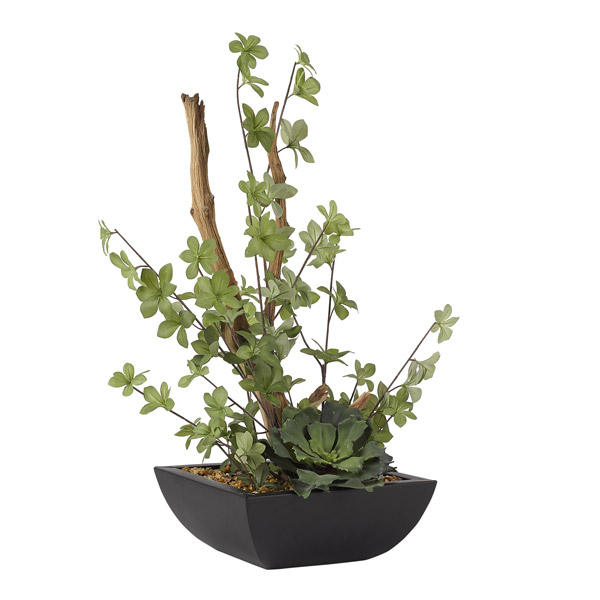 Ghostwood and Double Ruffle Echeveria in Keel Planter - 209007