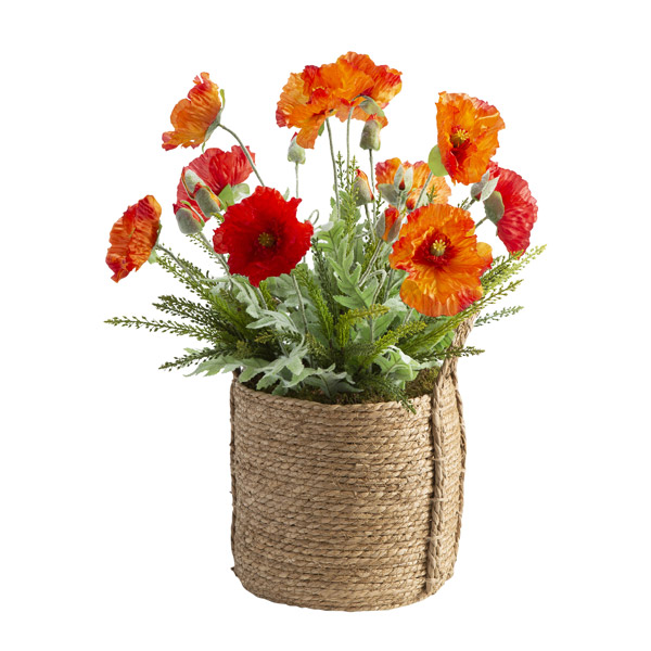 Orange and Red Poppies in Small Wyatt Basket - 209017