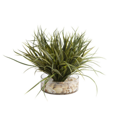 Grass with Seashells in Low Glass Vase - 209029