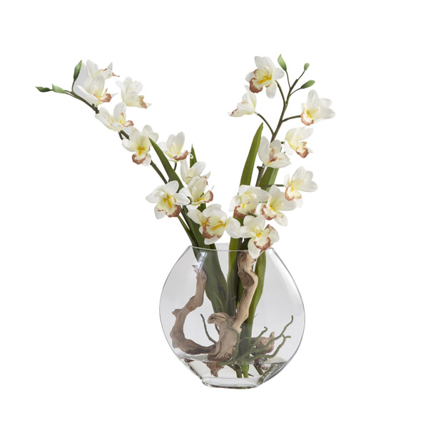 Cream Cymbidium Orchids in Small Glass Pillow Vase - 209030
