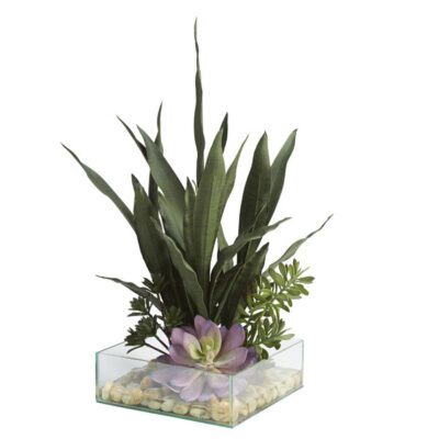 Sansevieria with Assorted Succulents in Marina Vase - 209034