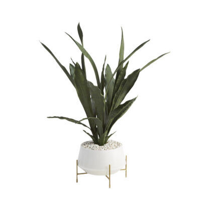 Small Sansevieria in White Glass Bowl with Stand - 209036