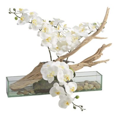 White Phal Orchids with Ghostwood in Aquaria Vase - 209037