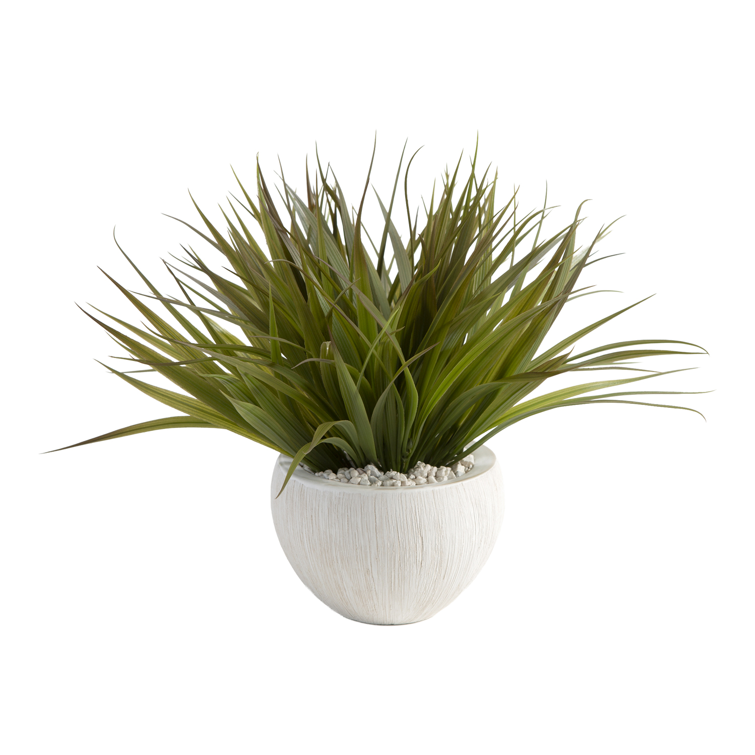 Wild Grass in Small Ezra Vase - 209042