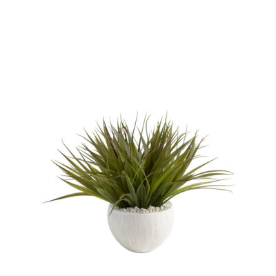 Wild Grass in Small Ezra Vase - 209042
