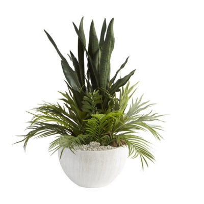 Sansevieria with Palm Fronds in Ezra Vase - 209043