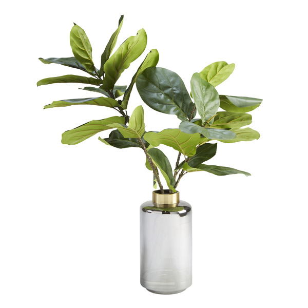 Fiddle Leaf Fig Branches in Large Smoke Vase - 209045
