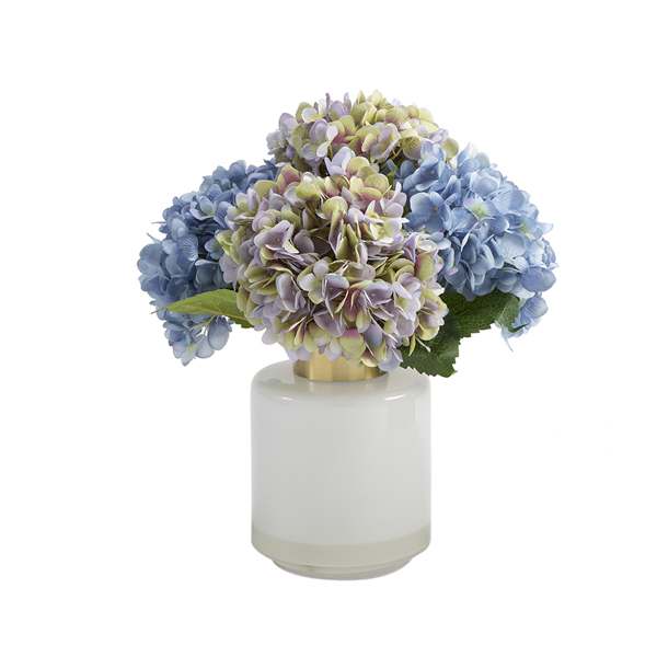 Blue and Violet Hydrangeas in White Glass with Gold Collar - 209047