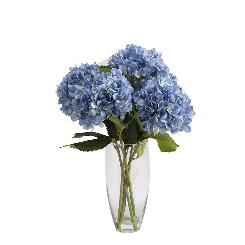 Blue Hydrangeas in Glass Vase - 209104