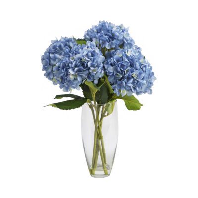 Hydrangeas in Aurora Vase - 209104